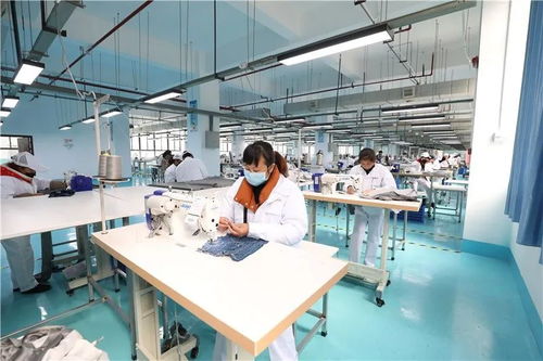 玉屏经开区 防疫生产两手抓，网站建设助力企业稳步发展